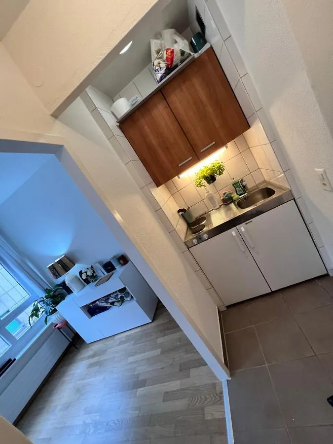 Private Stylish Modern Studio In The City Centre Διαμέρισμα Γενεύη
